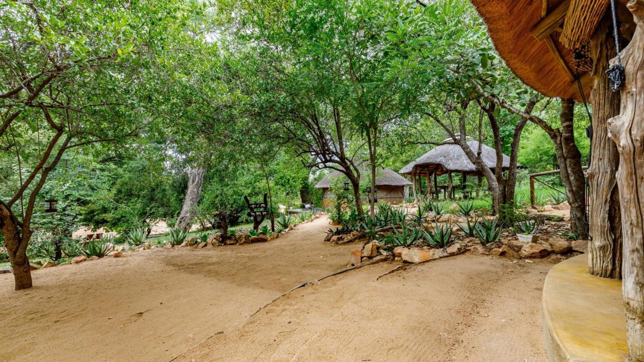 Umlani Bushcamp Villa Reserva Timbavati Exterior foto