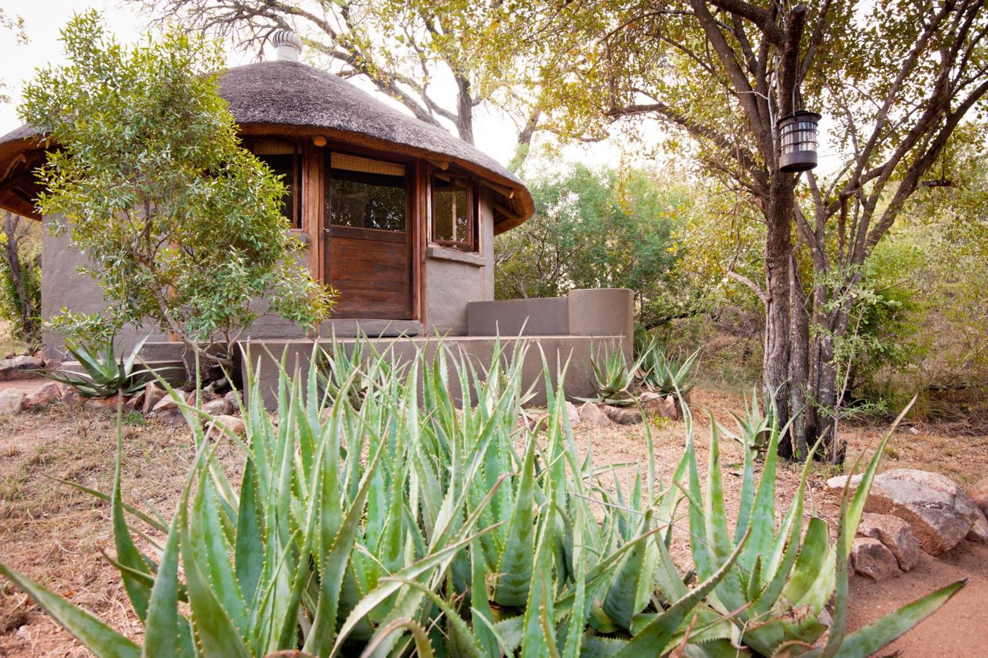 Umlani Bushcamp Villa Reserva Timbavati Exterior foto