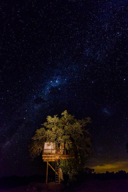 Umlani Bushcamp Villa Reserva Timbavati Exterior foto